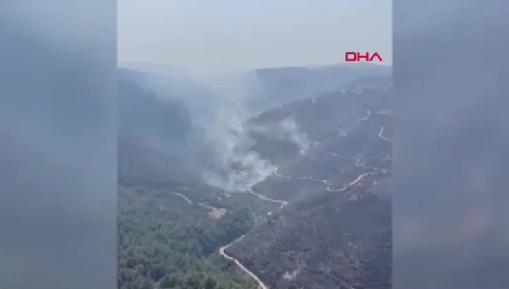 Manisa’daki Orman Yangınına Amfibik Uçak Müdahale Ediyor