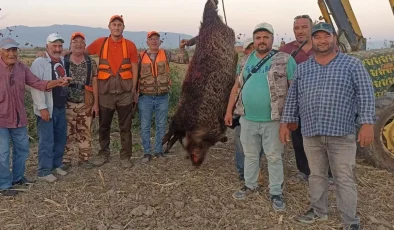 Bakanlıktan izin alıp çiftçilerin başına bela olan domuzu avladılar